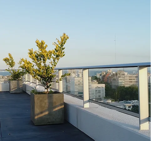 Bepocitos-img3-proyecto